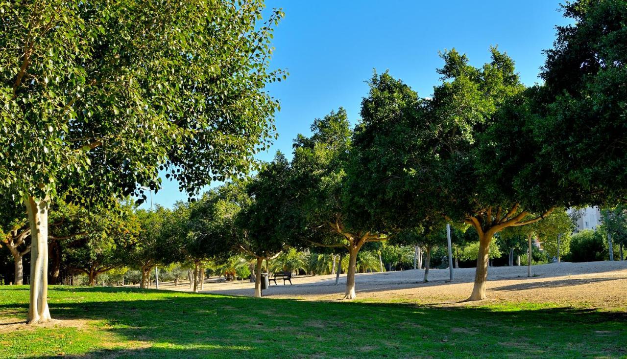 Myflats Brisas Del Sur Lägenhet Alicante Exteriör bild